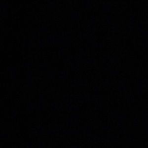 Meet your Posher, Maddie